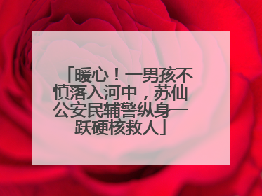 暖心！一男孩不慎落入河中，苏仙公安民辅警纵身一跃硬核救人